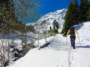 Le Moleson, Gruyeres, Friburg, Switzerland